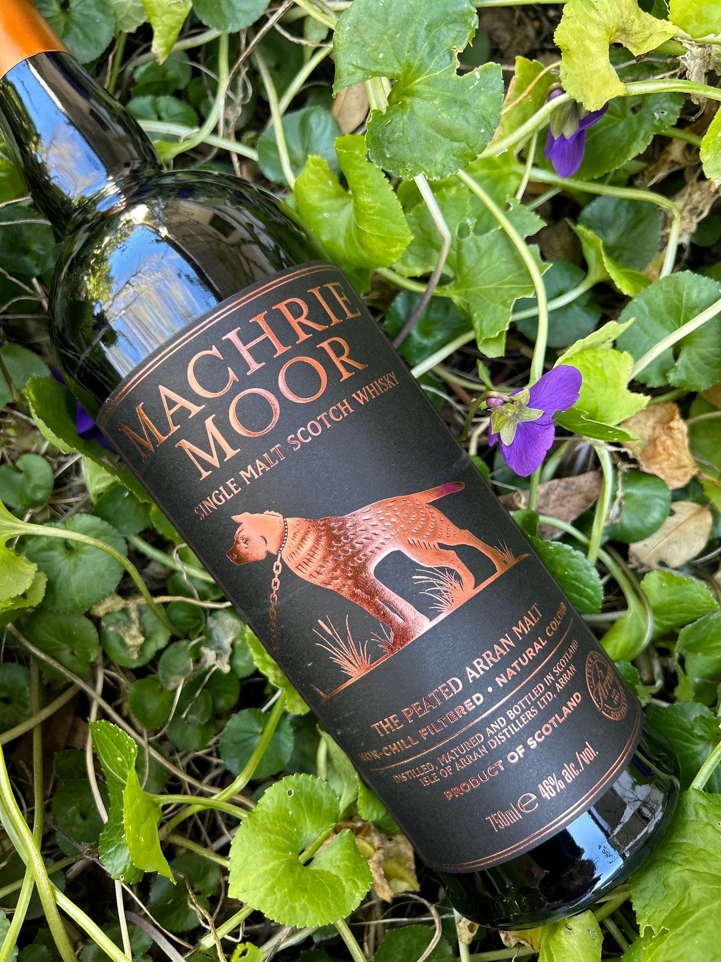 Arran Machrie Moor whisky in the grass